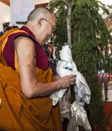 Chúc phúc cho cây nhân Ngày Cây Quốc gia